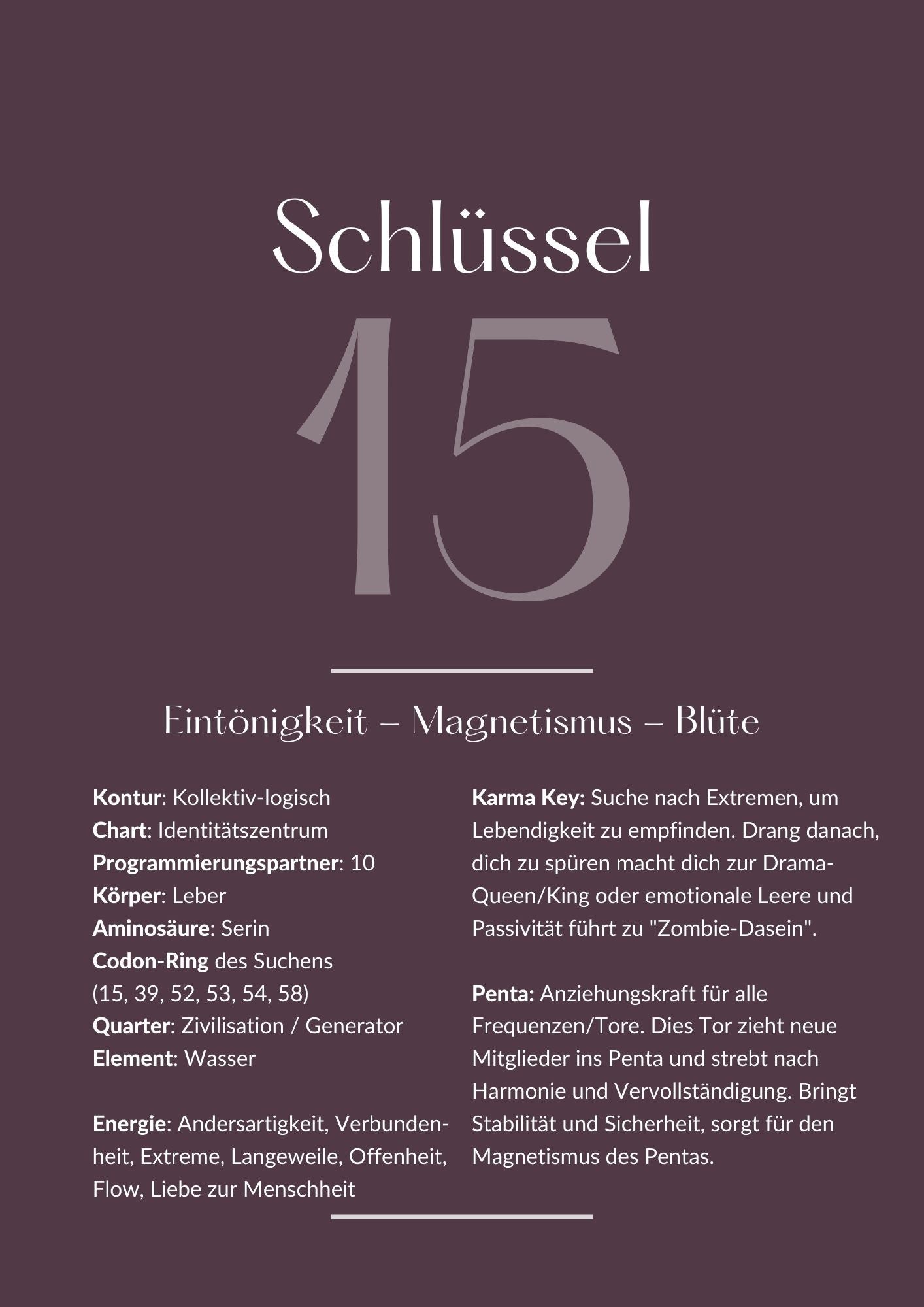 Genschlüssel 15 Cheat Sheet mit Codon Ring, Penta, Chart, Element uvm - Beispiel aus dem E-Book