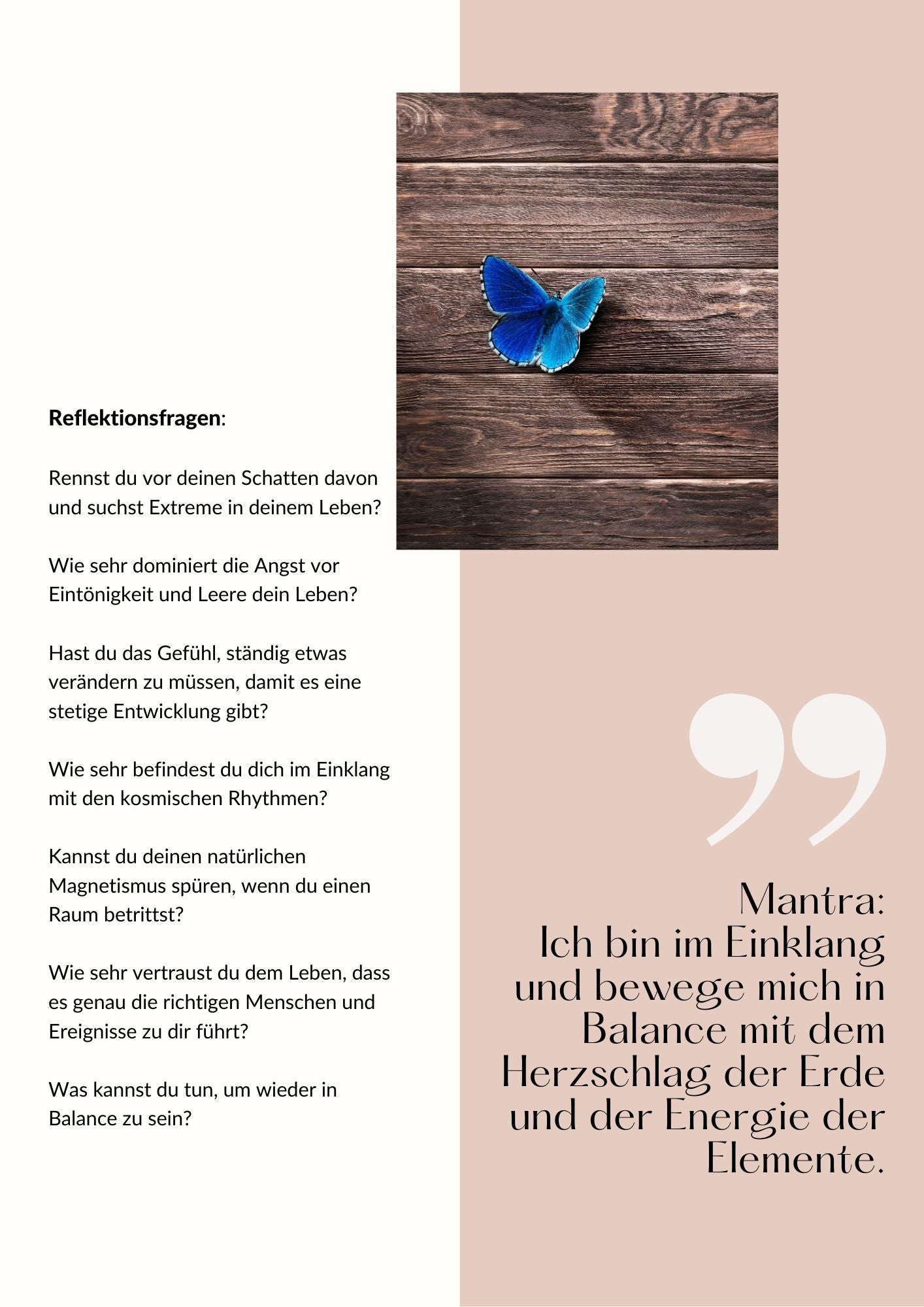 Genschlüssel 15 Reflektionsfragen und Mantra - Beispiel aus dem E-Book